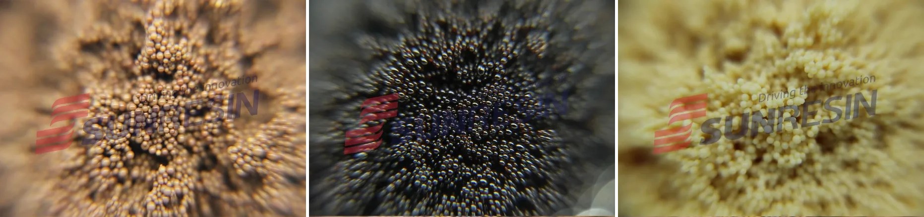 ����ʱ���������ǲ�����z6mg�Ƽ��ֳɻ�����֪��2020���ר��ר���о���Ŀ