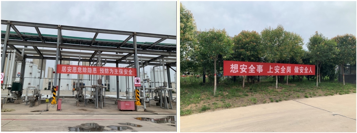 ��ʵ��չ���徲�����¡��˶�����ʵ�ƶ�����ʱ���������ǲ�����z6mg�Ƽ�����������