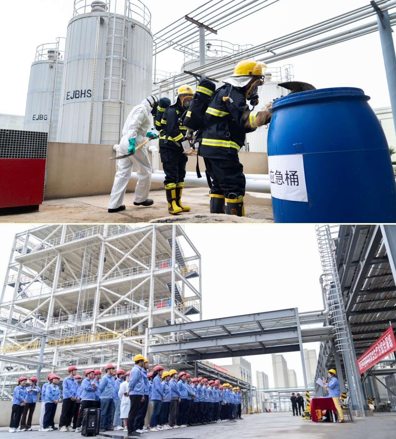 ��ʵ��չ���徲�����¡��˶�����ʵ�ƶ�����ʱ���������ǲ�����z6mg�Ƽ�����������