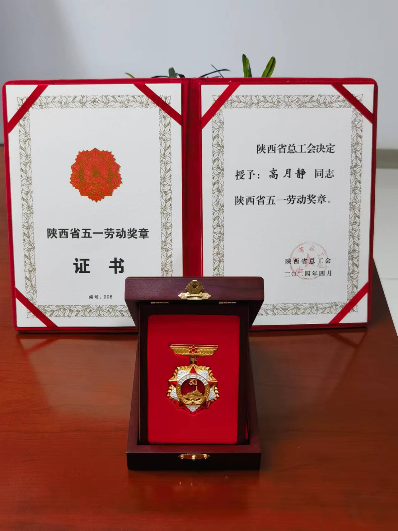 ����ʱ���������ǲ�����z6mg�Ƽ����³����¾��ٻ�2024�������ʡ��һ�Ͷ�����