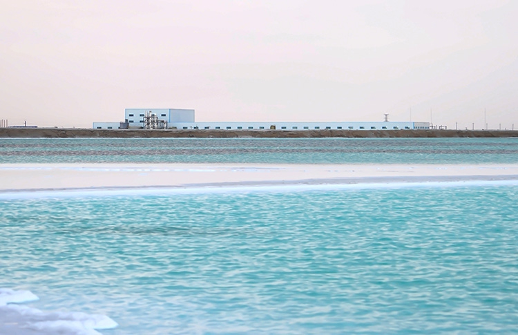 ��ʱ������(�й���)�������ǲ�!